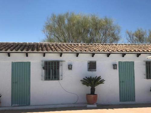 a white building with green doors and a plant at HACIENDA LA MACARENA DE SEVILLA in Cantillana