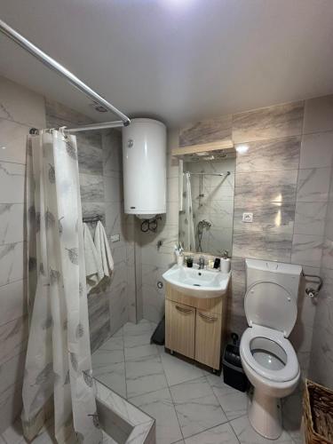 a bathroom with a toilet and a sink at VILA LENA in Kokin Brod