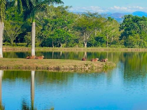 Φυσικό τοπίο κοντά σε αυτό το κάμπινγκ