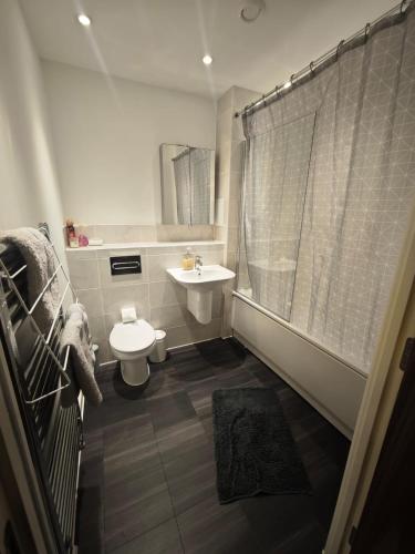 a bathroom with a sink and a toilet and a shower at Cozy 1 Bedroom Apartment Retreat in West Thurrock