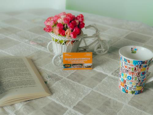 Knihovna v bed and breakfast