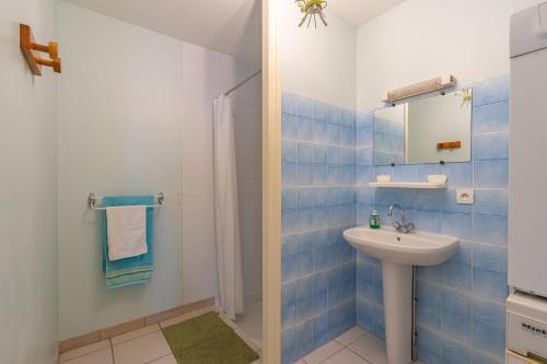 a blue and white bathroom with a sink and a shower at Grand gite 16 personnes in La-Gripperie-Saint-Symphorien