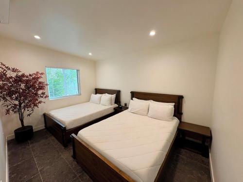 a bedroom with two beds and a potted plant at o2 Resort Valle de Guadalupe in Valle de Guadalupe