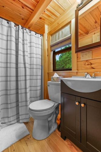 a bathroom with a toilet and a sink at Evergreen Escape - Hot Tub in Shippenville