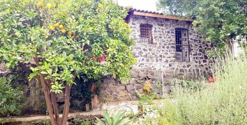 an old stone building with an orange tree in front of it at L'Aranceto in Acireale
