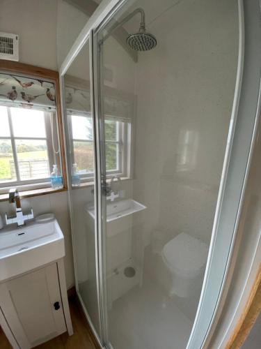 Ένα μπάνιο στο The shepherds hut tarka views