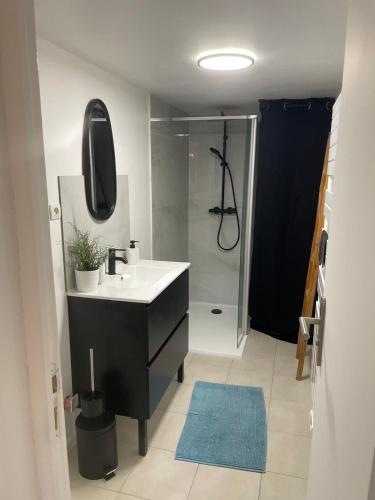 een badkamer met wastafel en douche met spiegel bij Le souplex in Nuillé-sur-Vicoin