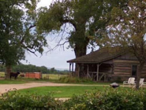 a log cabin sitting under a large tree at Augustus Chetlain Home & Log Cabins in Galena