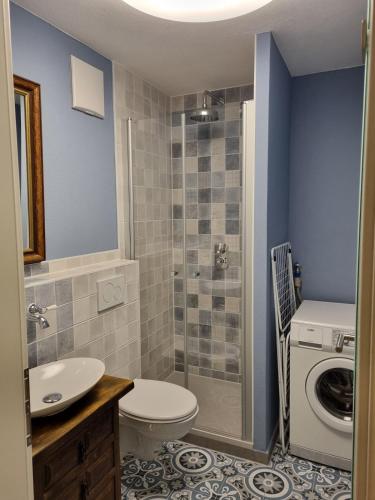 a bathroom with a toilet sink and a washing machine at Allgäunest in Oberstdorf