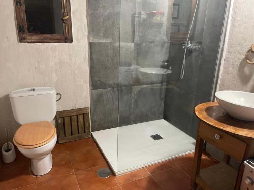 une salle de bains avec douche, toilettes et lavabo dans l'établissement Cabaña en las montañas, à San Roque de Ríomiera