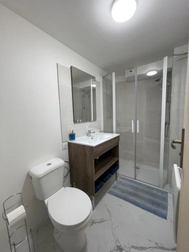 Koupelna v ubytování Très bel Appartement près de Montpellier