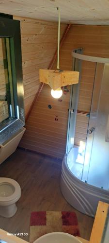 a bathroom with a shower and a toilet in a room at Cabana A-FRAME 3 in Curtea de Argeş