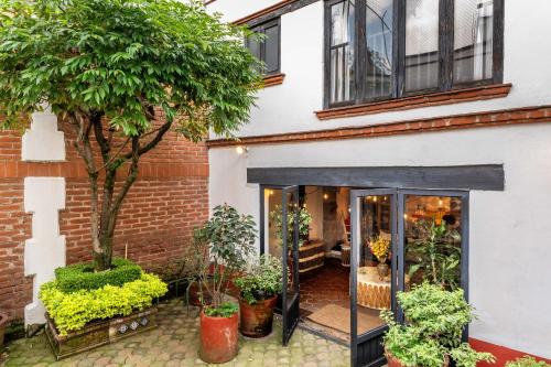 an entrance to a house with plants and trees at Villa Colonial Centro de Coyoacán in Mexico City
