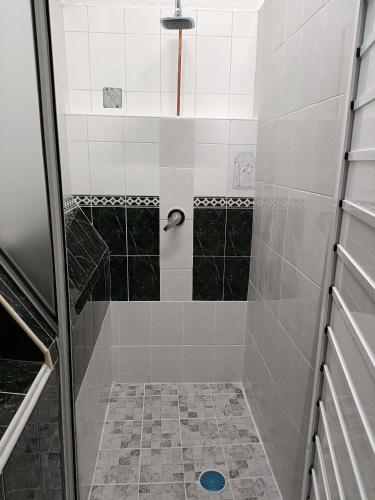 a shower with black and white tile in a bathroom at Jardin 85 Boutique Hostel in Morelia