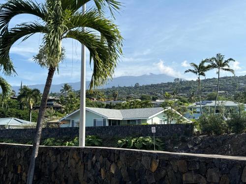 a palm tree in front of a house at Happy Hill Inn in Kailua-Kona