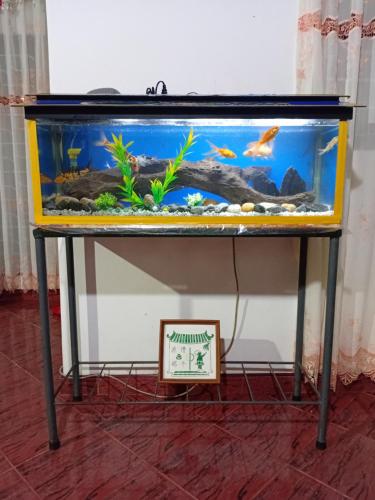 a fish tank sitting on a table with a aquarium at Bell 412 in Weligama