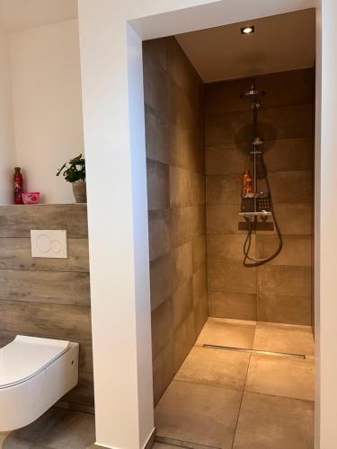 un baño con inodoro y ducha en La Bouverie, en Profondeville