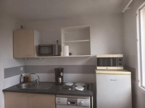 カルヴィッソンにあるMaison le Mimosaのシンクと電子レンジのある小さなキッチン