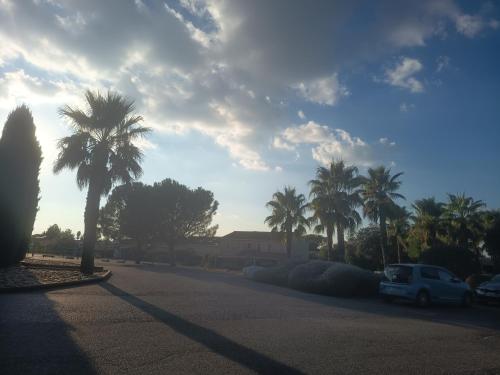 カルヴィッソンにあるMaison le Mimosaのヤシの木が立ち並ぶ路上駐車