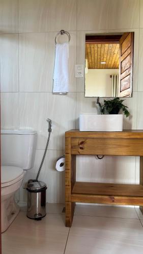 a bathroom with a toilet and a sink and a mirror at Estação Orgânica Taipu in Marau