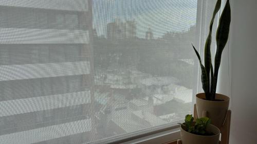 a window with a potted plant on a window sill at Pirca NQN in Neuquén