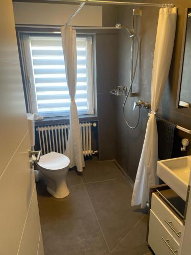 a bathroom with a toilet and a window and a shower at Landliebe Osburg in Osburg