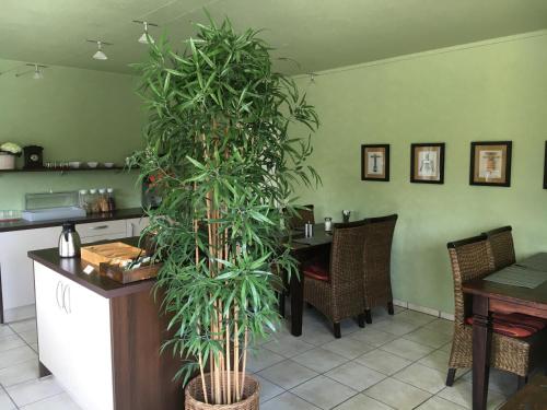 a kitchen with a table and two large plants at Pension Villa Strandläufer in Norddeich