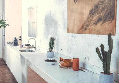 una encimera de cocina con cactus y un fregadero en Studio photo - Loft - 130m2 Atypique, en La Madeleine
