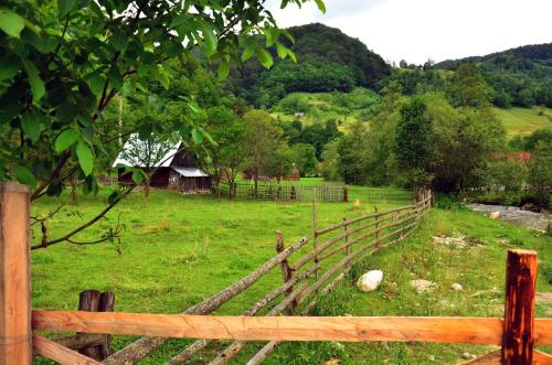 a wooden fence in a green field with a barn at Pensiunea Valea Pinului in Rau Sadului