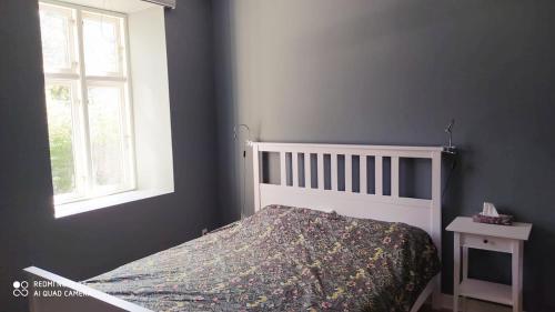 a bedroom with a bed and a window at Cozy central flat with terrace in Hinge