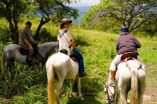 Άλλα ζώα σε οργανωμένο κάμπινγκ ή στη γύρω περιοχή
