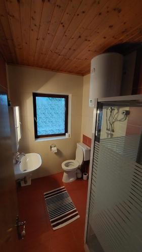 a bathroom with a toilet and a sink and a window at Sissi Apartment in Ausserfragant
