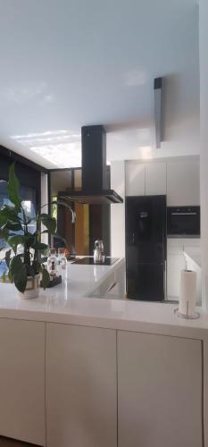 a kitchen with white cabinets and a black refrigerator at Black Box village with garden in Seferihisar