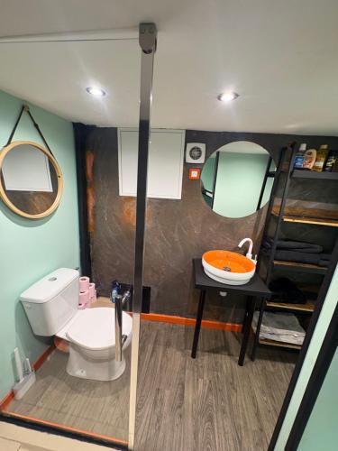 a small bathroom with a toilet and a sink at Le Cocoon Provençal - à deux pas de la mairie in Aix-en-Provence