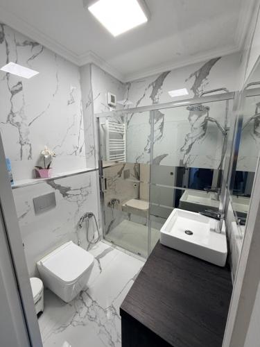 a bathroom with a shower and a sink and a toilet at Spacieux appartement à 200 m de la plage in Ovar
