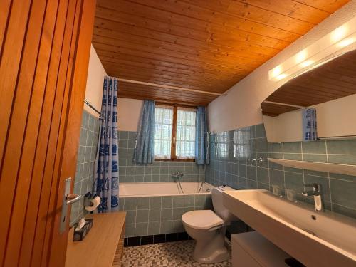 a bathroom with a toilet and a tub and a sink at Appartement Églantier in Evolène