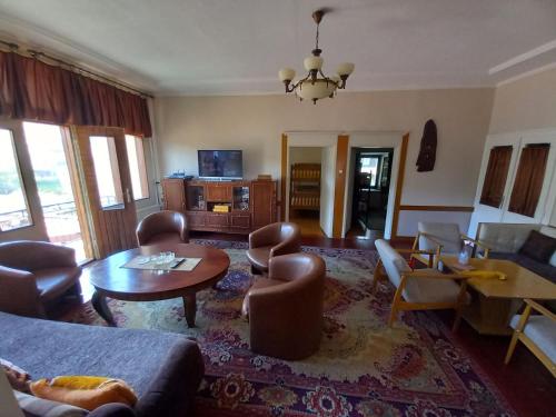 Televisyen dan/atau pusat hiburan di **ETNO Vila** - KRUSEVO