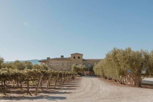 Příroda nedaleko vily