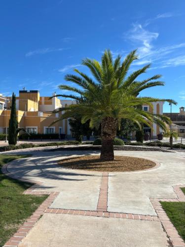 eine Palme in der Mitte eines Gehwegs in der Unterkunft Villa Marrajo La Torre Golf Resort in Torre-Pacheco