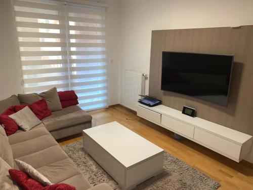 TV a/nebo společenská místnost v ubytování Garden Pejton Ilidza Sarajevo