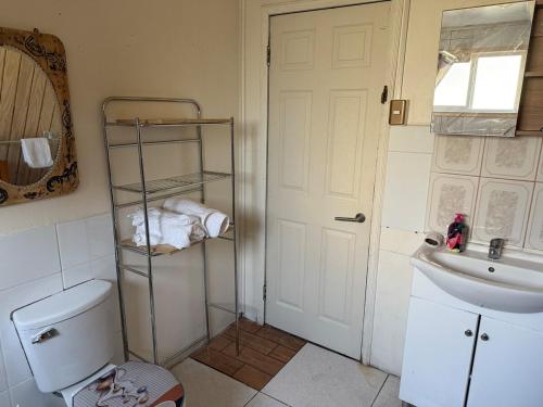 a bathroom with a toilet and a sink and a mirror at Valentine's Day Host Mary Leo Accommodation House in Cochrane