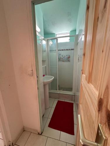 a bathroom with a shower and a sink and a red rug at Appt Cosy Belcourt in Baie-Mahault