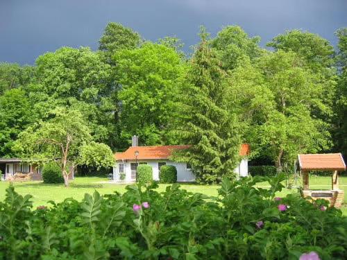 une petite maison blanche au milieu des arbres dans l'établissement Bungalow am Haussee, à Himmelpfort