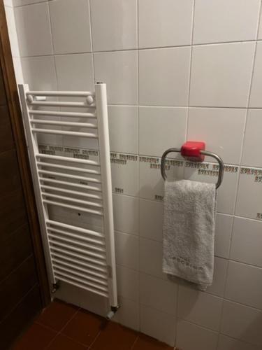 a bathroom with a towel rack and a shower door at Ninette, intimità e natura in Sauze di Cesana