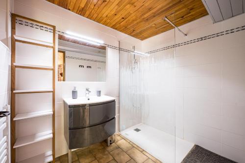une salle de bain avec douche et lavabo dans l'établissement Gîte montagnard Savoyard, à Bramans