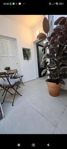 a living room with a potted plant and a table at Estudio in Conil de la Frontera