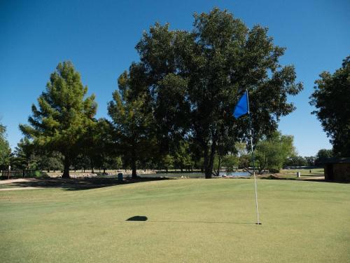 a blue flag on a golf green with trees at Dofflemyer Hotel in San Saba