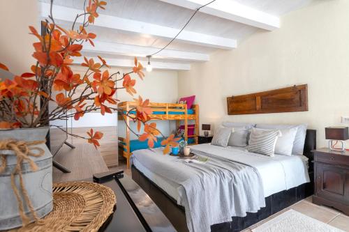 a bedroom with a bed and a plant in a room at Favola Rosa in Alghero