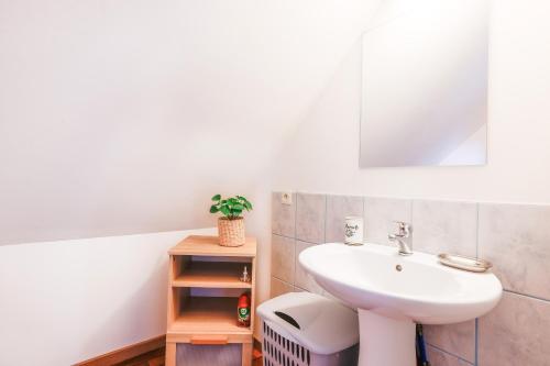 une salle de bain avec un lavabo et des toilettes dans l'établissement Gites du Keribet, à Saint-Martin-des-Prés