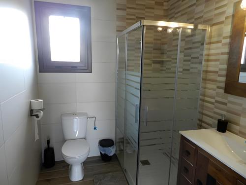 ベヘール・デ・ラ・フロンテーラにあるCasa El Duque Zairaのトイレとガラスのシャワー付きのバスルーム